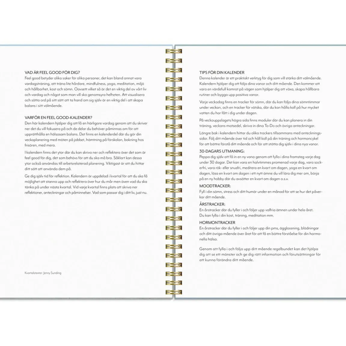 Almanacka Burde 1293 Life Planner Feel Good 2027 A5