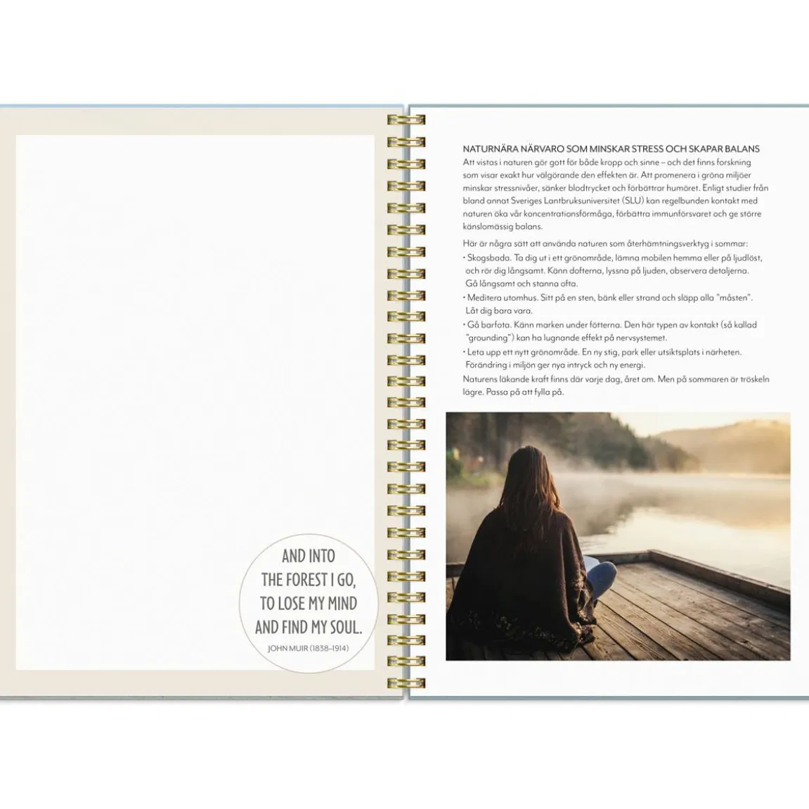 Almanacka Burde 1293 Life Planner Feel Good 2027 A5