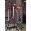 Antikljus Star Trading Flamme Candy 2-pack Ljus grön