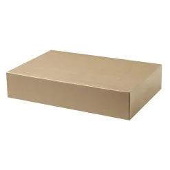 Arkivbox SS628107 för folio brun 255x80x380mm