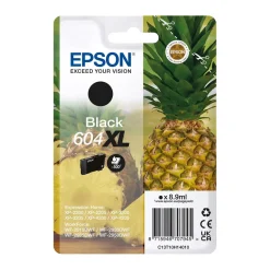 Bläckpatron Epson T604XL C13T10H14010 Svart