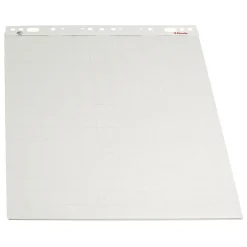 Blädderblock Esselte Olinjerat/Rutat 50 Blad 550x710mm 60g