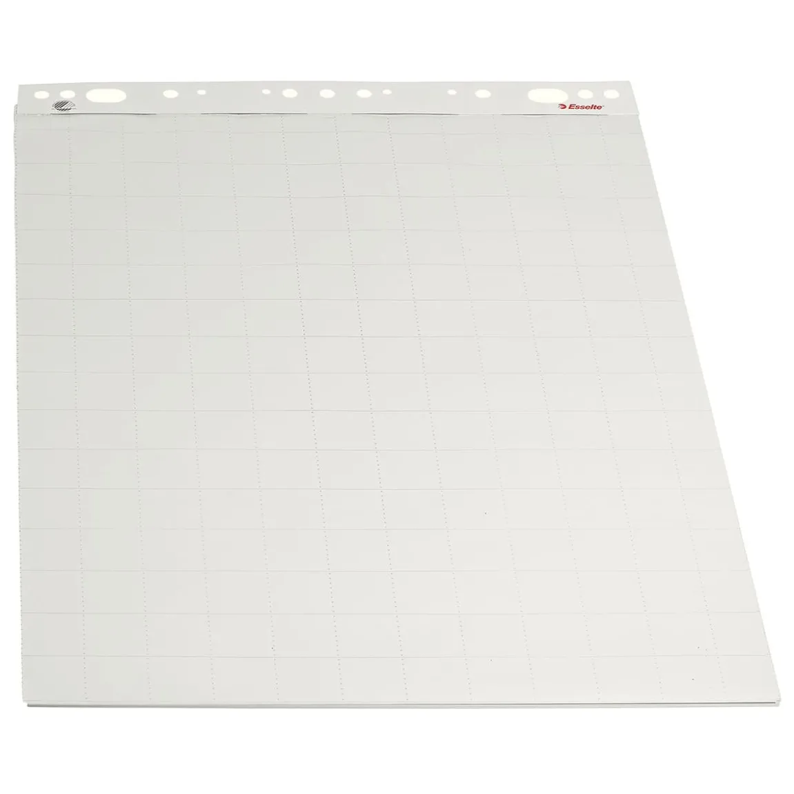 Blädderblock Esselte Olinjerat/Rutat 50 Blad 550x710mm 60g