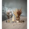 Dekorationskvist Star Trading Plumes Ljus Beige