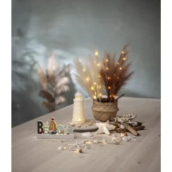 Dekorationskvist Star Trading Plumes Ljus Beige