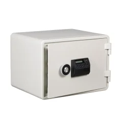Dokumentskåp Altikon ES 20. 60P Brandsäkert 60 min ljusgrå 343x480x388 mm 49 kg