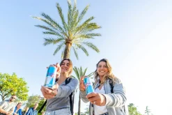 Energidryck Red Bull Sockerfri 25cl exkl pant