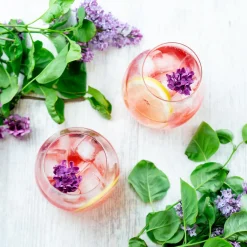 Gin & Tonicglas Riedel