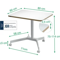 Höj- Sänkbart Skrivbord Leitz Manuellt Vit 80x60cm