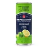 Kolsyrad Dryck San Pellegrino Limone & Menta 33cl exkl pant