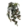 Konstgjord Växt Peperomia Höjd 450mm
