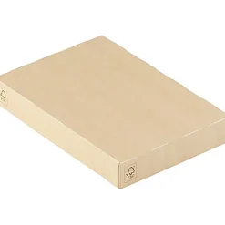 Lock Till Viking Box