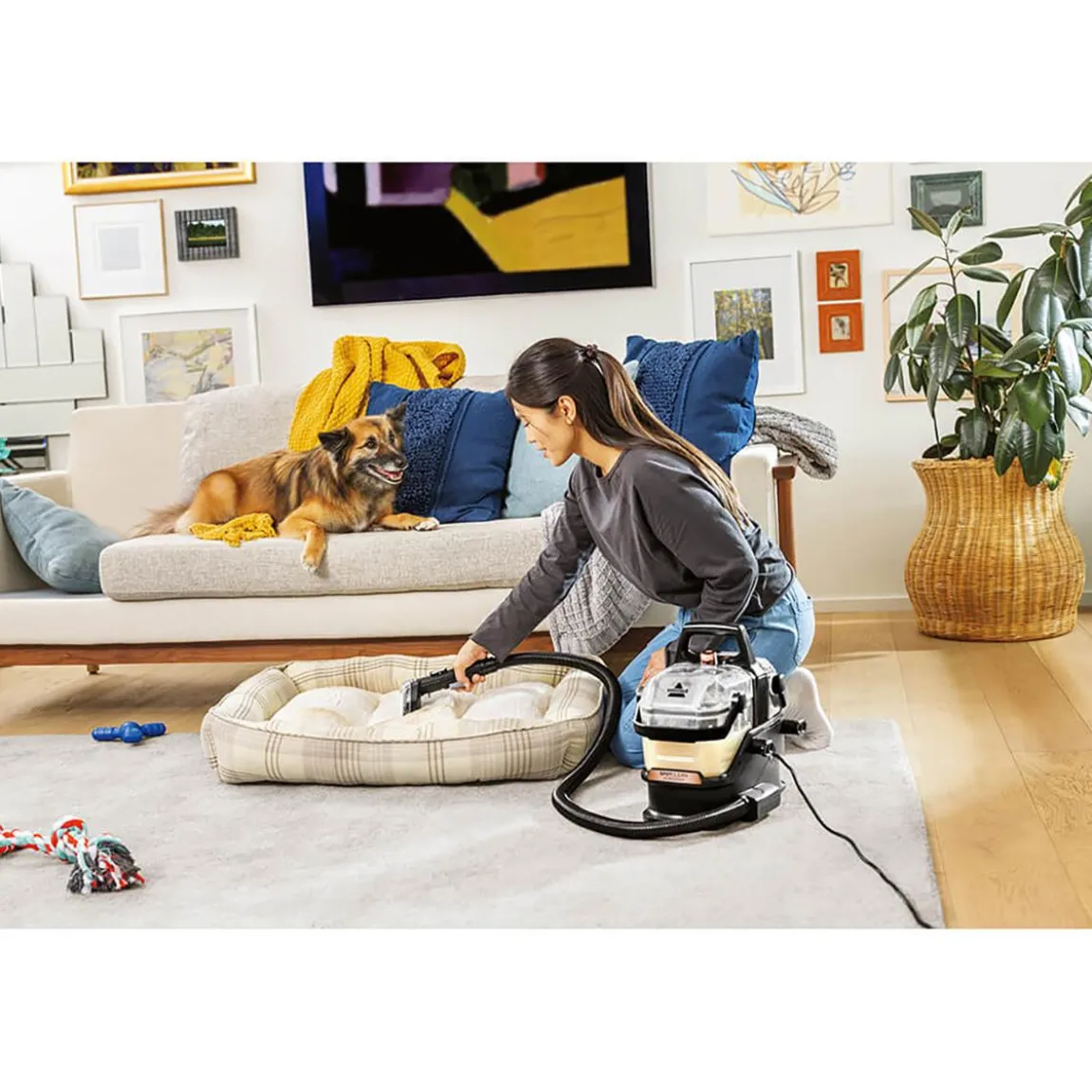 Mattvätt Bissell SpotClean Hydrosteam Pro