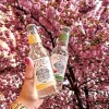 Mixers Double Dutch Tonic Double Lemon 20cl
