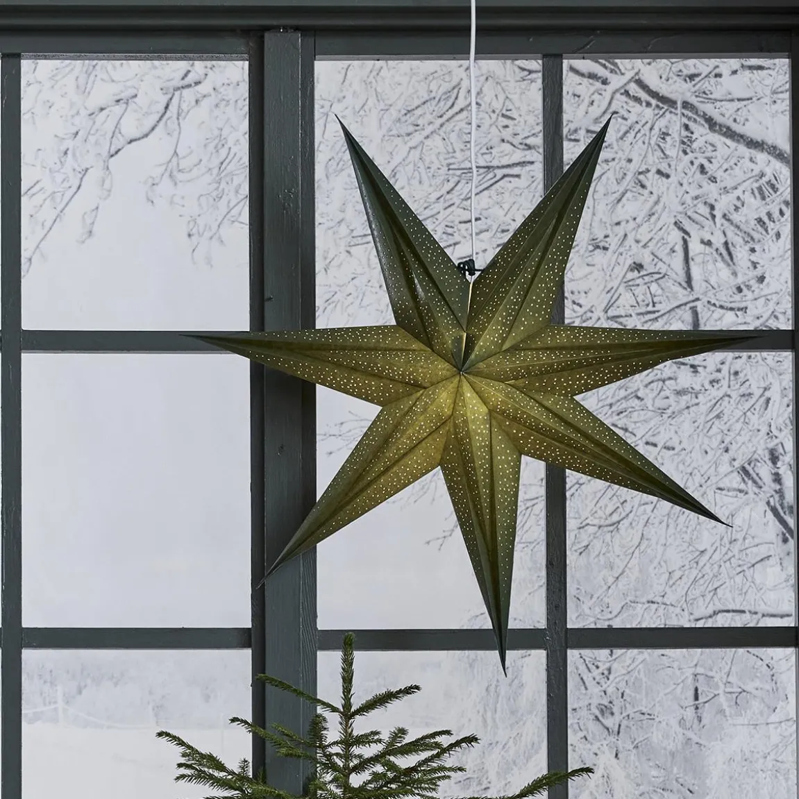 Pappersstjärna Star Trading Holly Grön 60cm