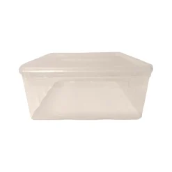 Plastburk Med Slätt Lock PP Klar 245x185x80 mm 3000ml