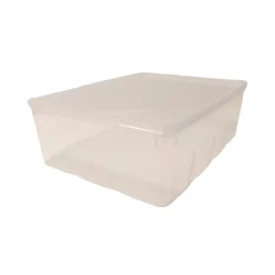 Plastburk Med Slätt Lock PP Klar 245x185x80 mm 3000ml