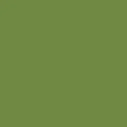 Servett Duni 3-lag Leaf Green 33x33cm