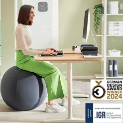 Sittboll Leitz Ergo Ant-Roll-Away Mörkgrå