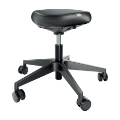 Sittpall Leitz Ergo Med Hjul Svart