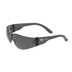 Skyddsglasögon Guardio 1001732 Grå