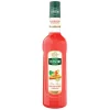 Smaksättare Mathieu Teisseire Syrup Rabarber 70cl