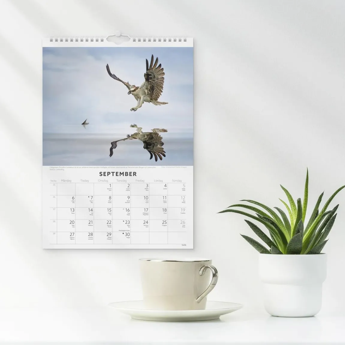 Väggkalender Burde 1786 Fåglar 2027