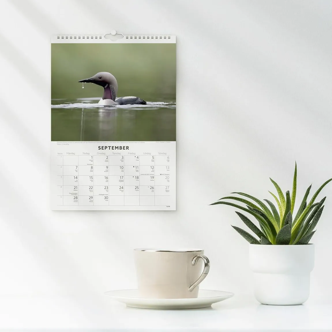 Väggkalender Burde 1786 Fåglar 2027
