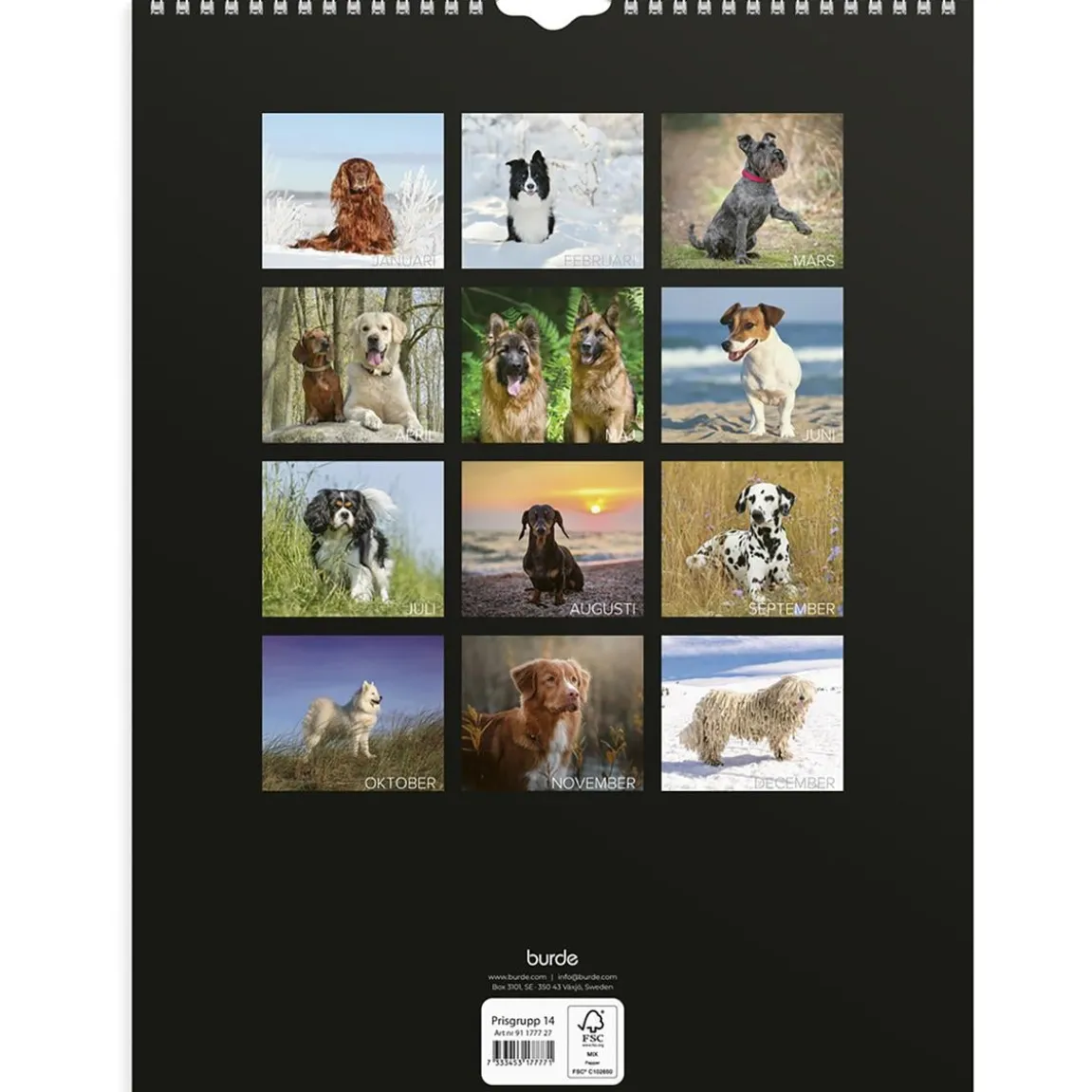 Väggkalender Burde 1777 Hundar 2027