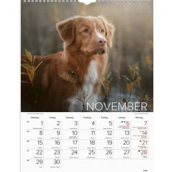 Väggkalender Burde 1777 Hundar 2027