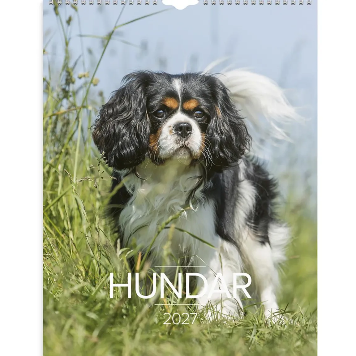Väggkalender Burde 1777 Hundar 2027