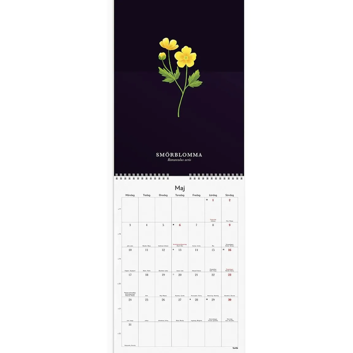 Väggkalender Burde 1799 Illustrerad Blomster 2027 A4