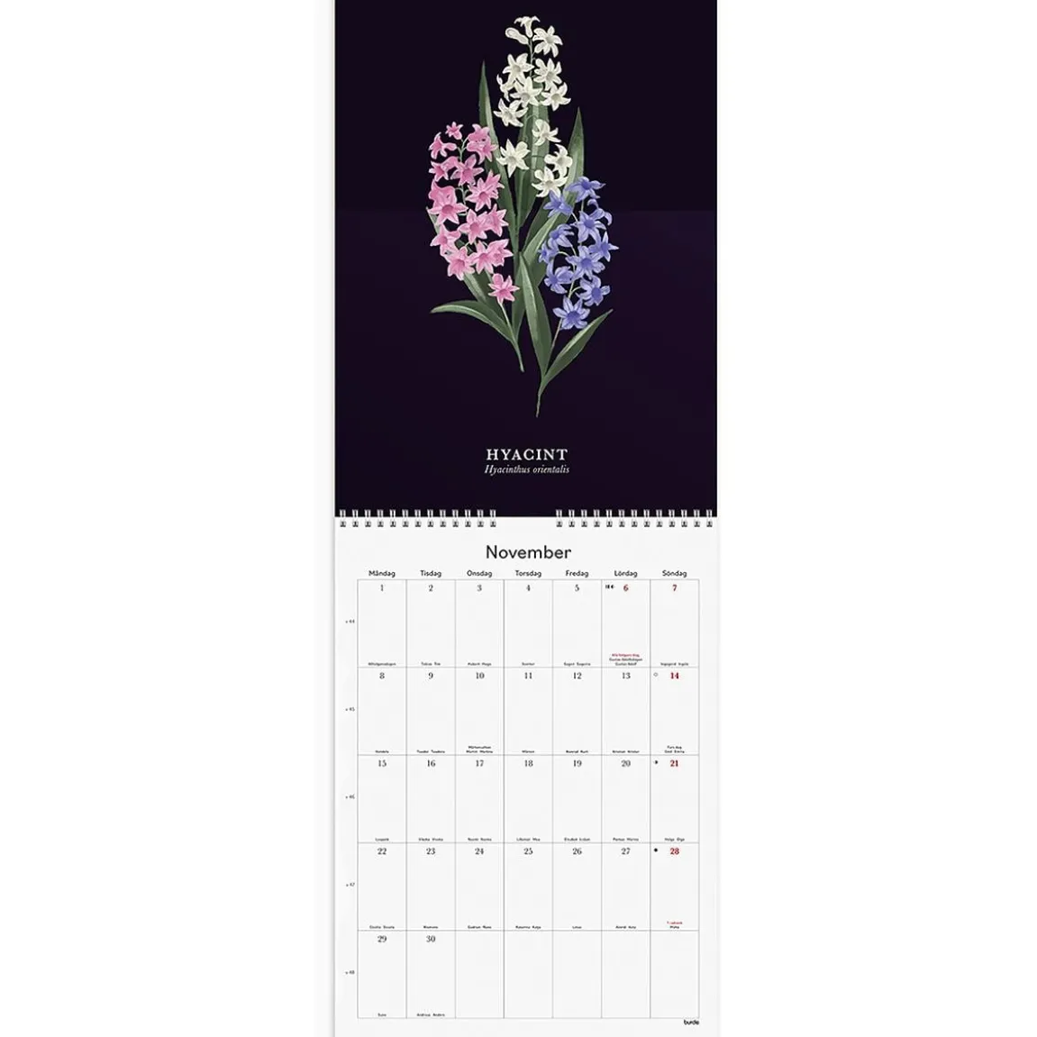 Väggkalender Burde 1799 Illustrerad Blomster 2027 A4