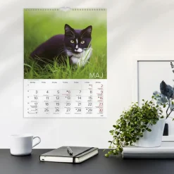 Väggkalender Burde 1775 Katter 2027