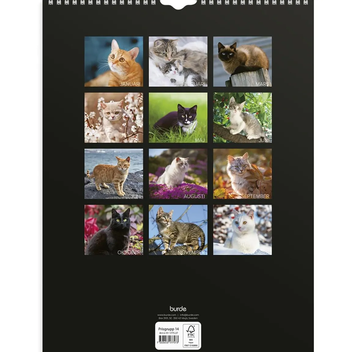 Väggkalender Burde 1775 Katter 2027