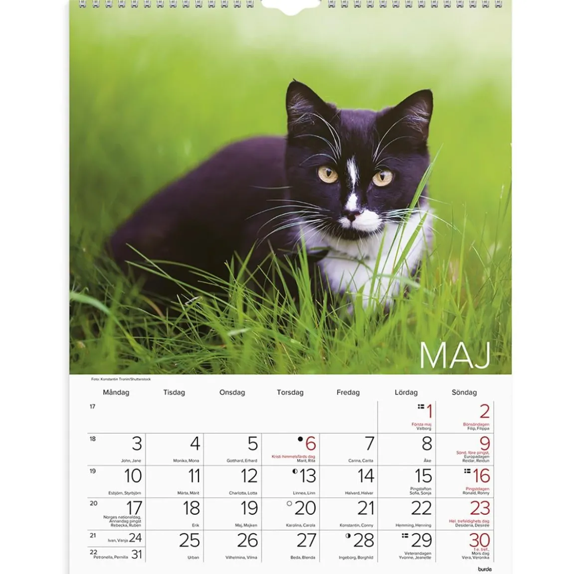 Väggkalender Burde 1775 Katter 2027