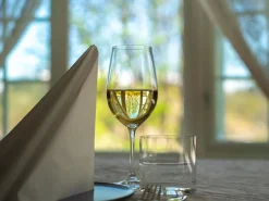 Vinglas Riedel Vinum Zinfandel/Riesling Ø79x210mm 40cl